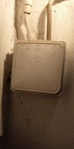 IMG_20210724_000541.jpg
