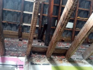 IMG_20210802_114954[1].jpg