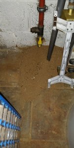 IMG_20210818_181854.jpg