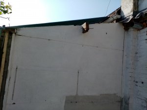 IMG_20210824_104325.jpg