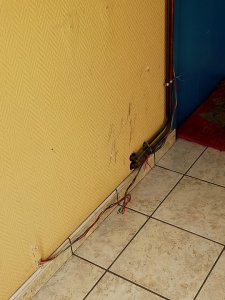 IMG20210825191404.jpg