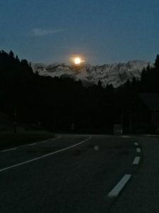 IMG_20210820_211139.jpg