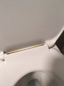 thumbnail_IMG_4664.jpg