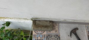 IMG20210928105500.jpg
