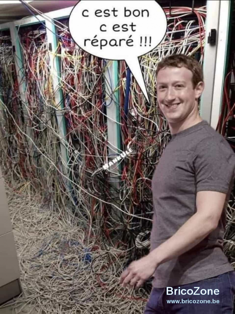 244425782_283990080234027_9021395798787331882_n.png