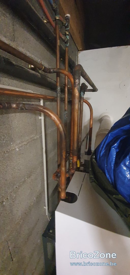 20211007_055911.jpg