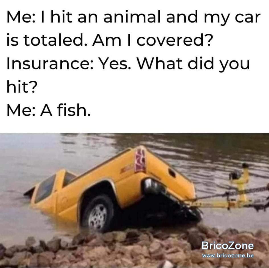 received_310918667226848.jpeg
