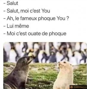 salut-moi-c-est-you.jpeg