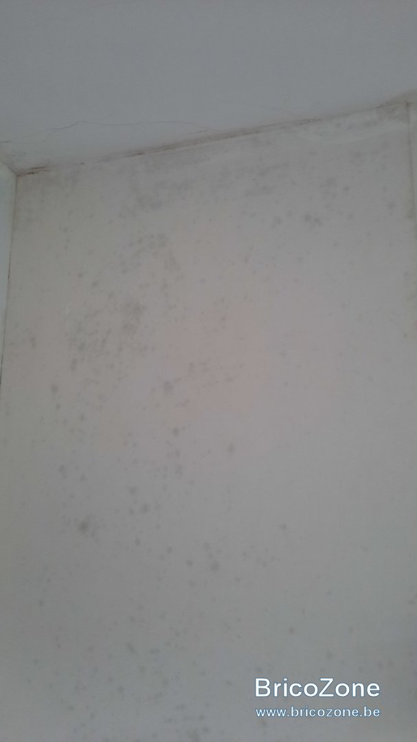 20211123_142814.jpg