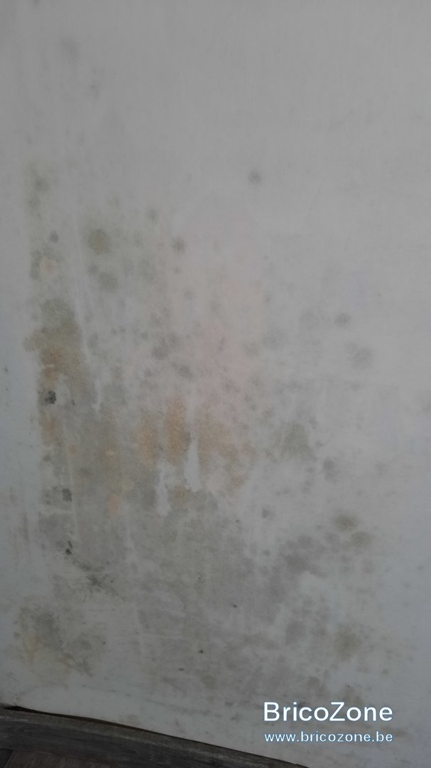 20211123_142932.jpg