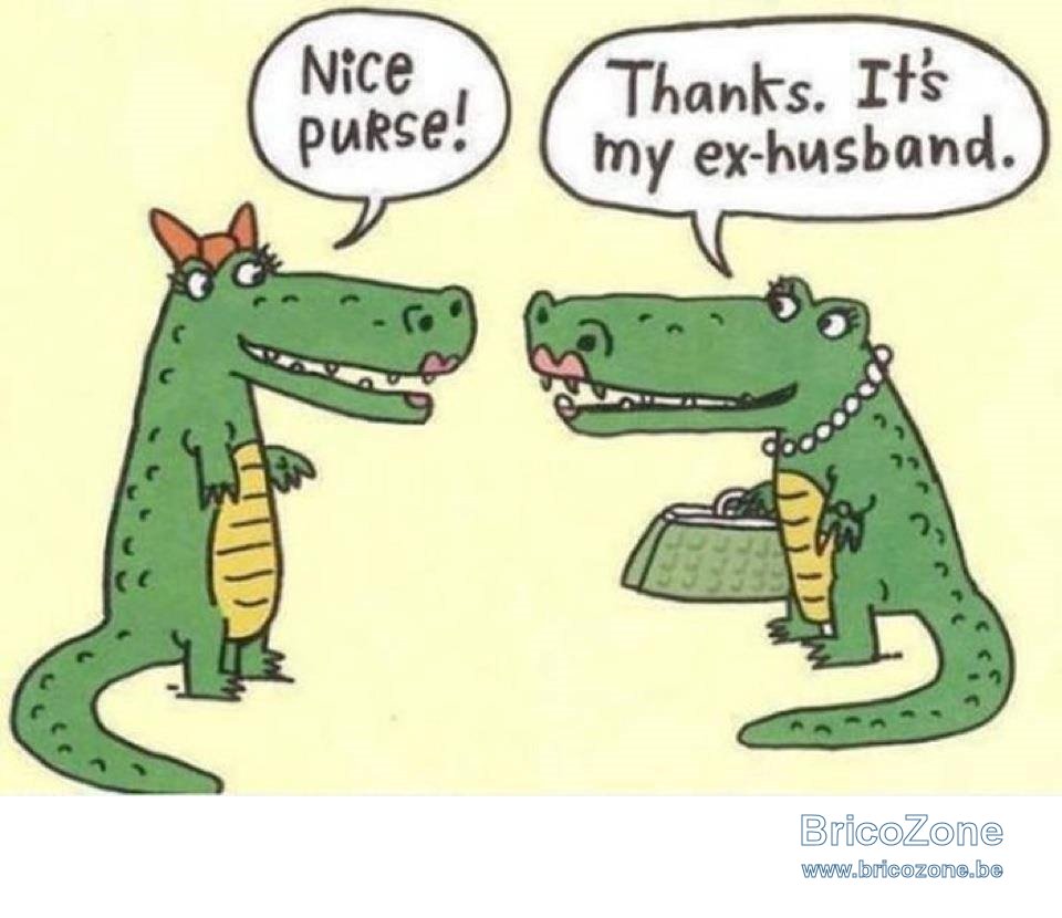 nice purse.jpg