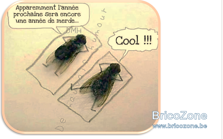 upload_2021-12-18_16-38-14.png