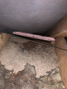 IMG_8111.JPG