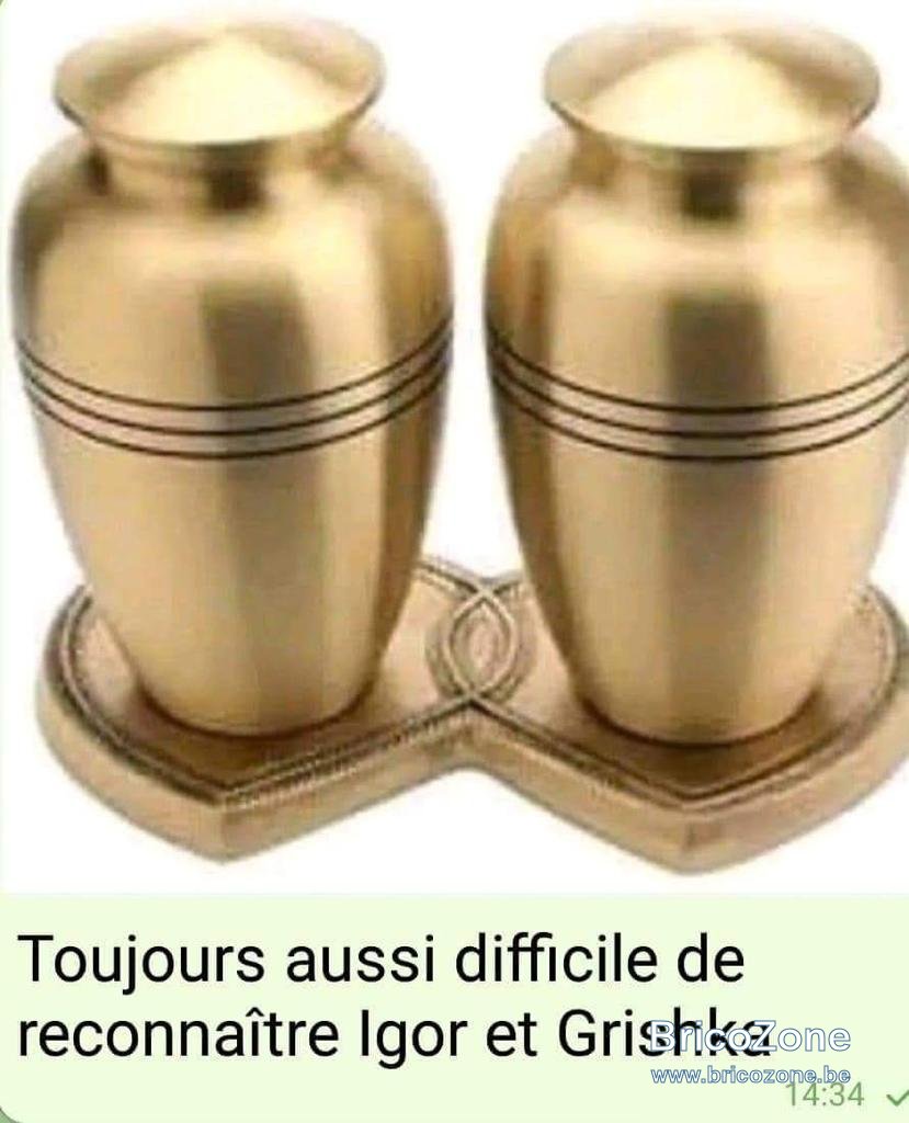 WhatsApp Image 2022-01-18 at 15.55.07.jpeg
