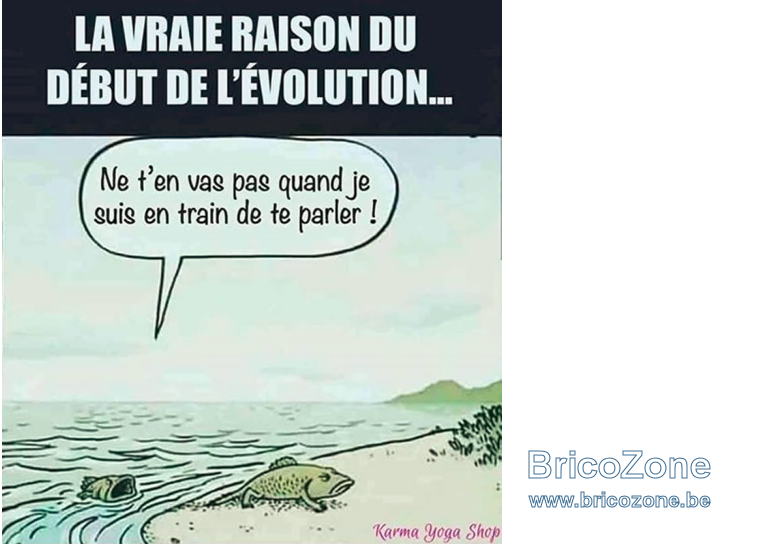 upload_2022-1-24_23-47-39.png