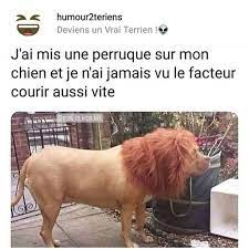 z2z.jpg