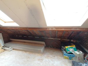 IMG_20220129_115320.jpg