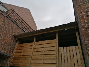 IMG_20220129_132821.jpg