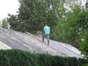 IMG_2334.JPG