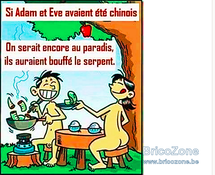 upload_2022-2-18_11-16-52.png