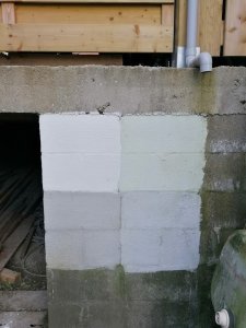 IMG_20220314_163554.jpg