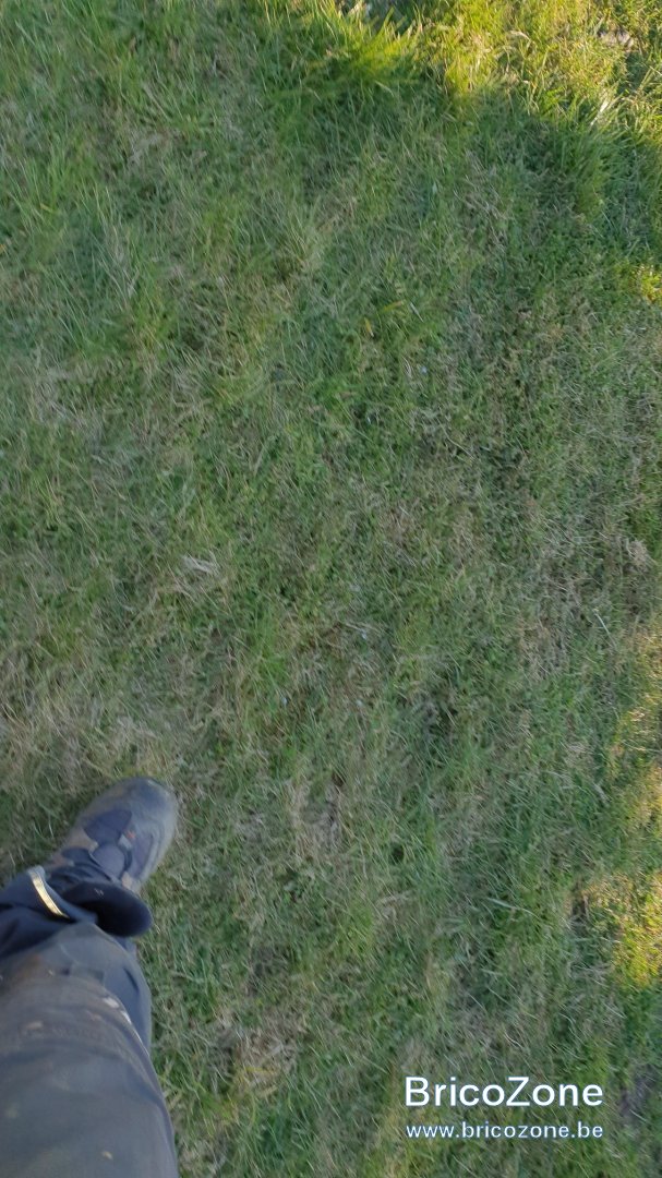 20220319_173010_resized.jpg
