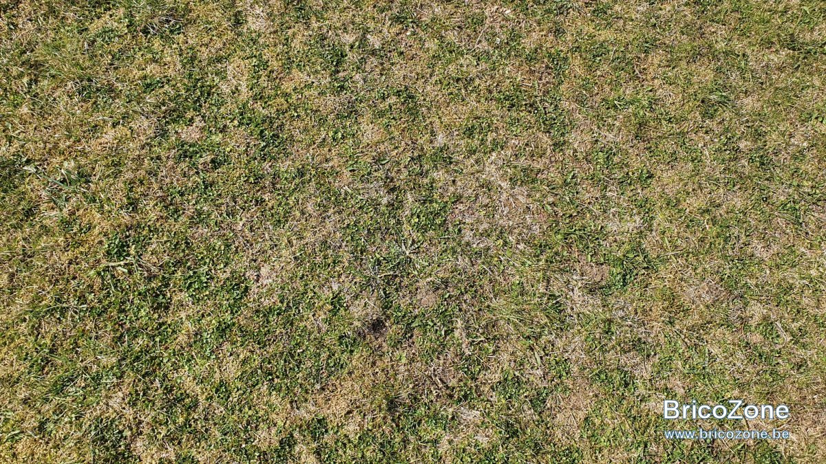 20220321_131146_resized.jpg