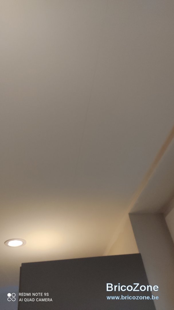 IMG_20220405_081254.jpg