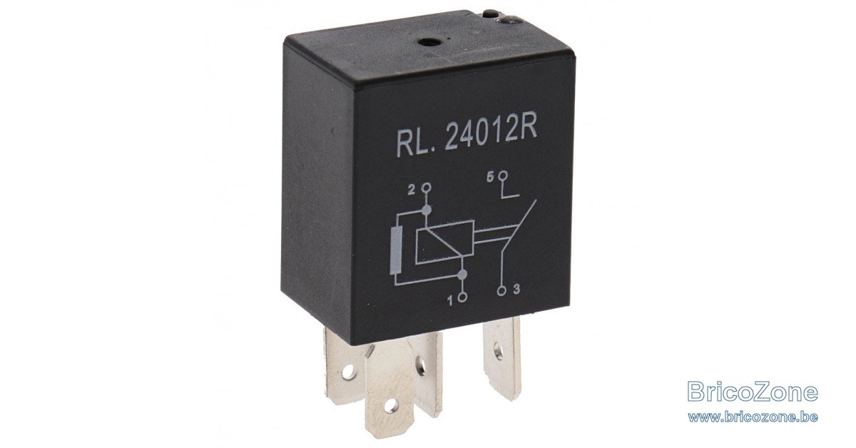 micro-relais-12v-30a-resistance.jpg