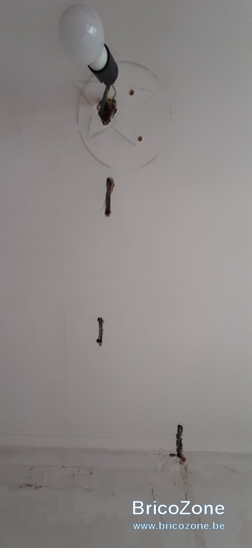 20220419_125612.jpg