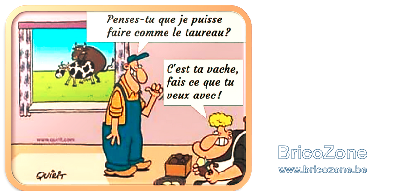 upload_2022-4-28_6-21-31.png