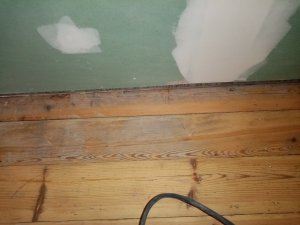 IMG_20220507_181742.jpg