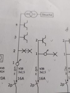 received_1130299364484500.jpeg