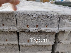 foto_no_exif.jpg