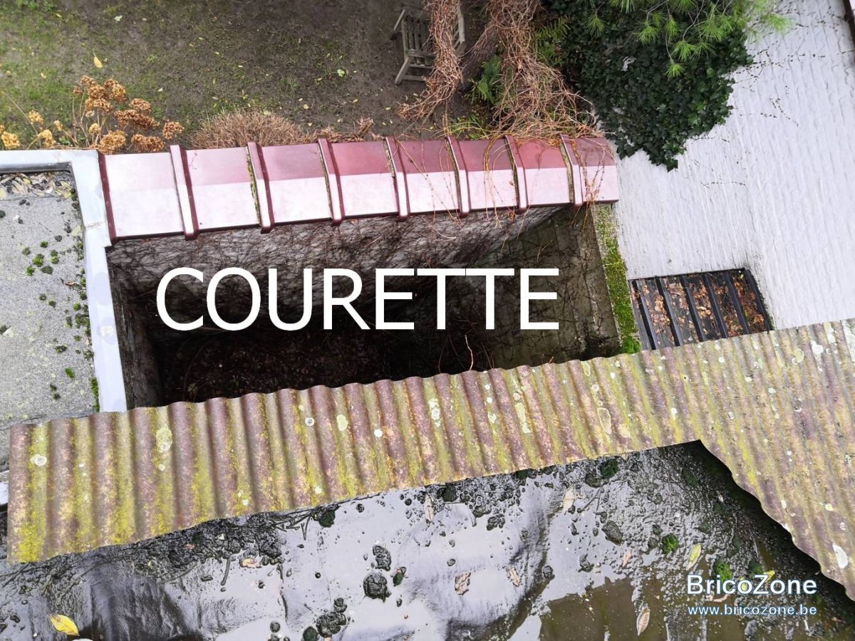entresol courette.jpg