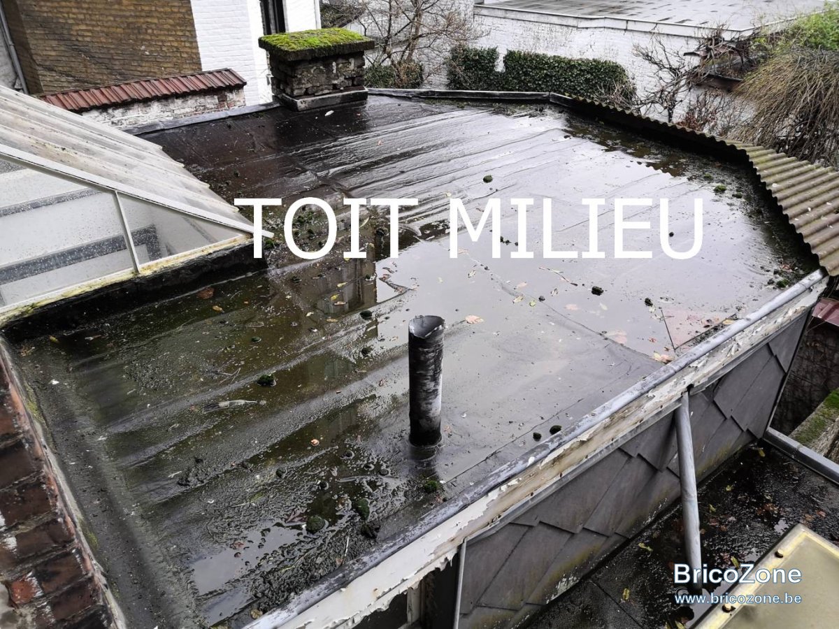entresol toit.jpg