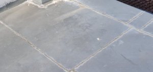 20220611_184646.jpg