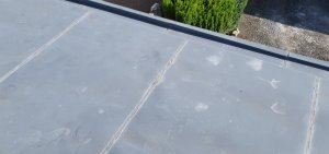 20220611_184931.jpg