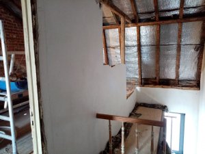 IMG_20220621_161354.jpg