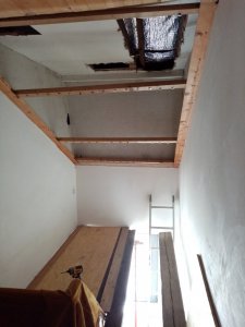 IMG_20220610_101546.jpg