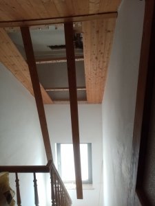 IMG_20220603_102157.jpg