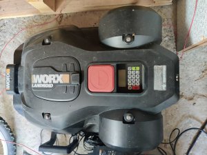 IMG_20220711_160258.jpg