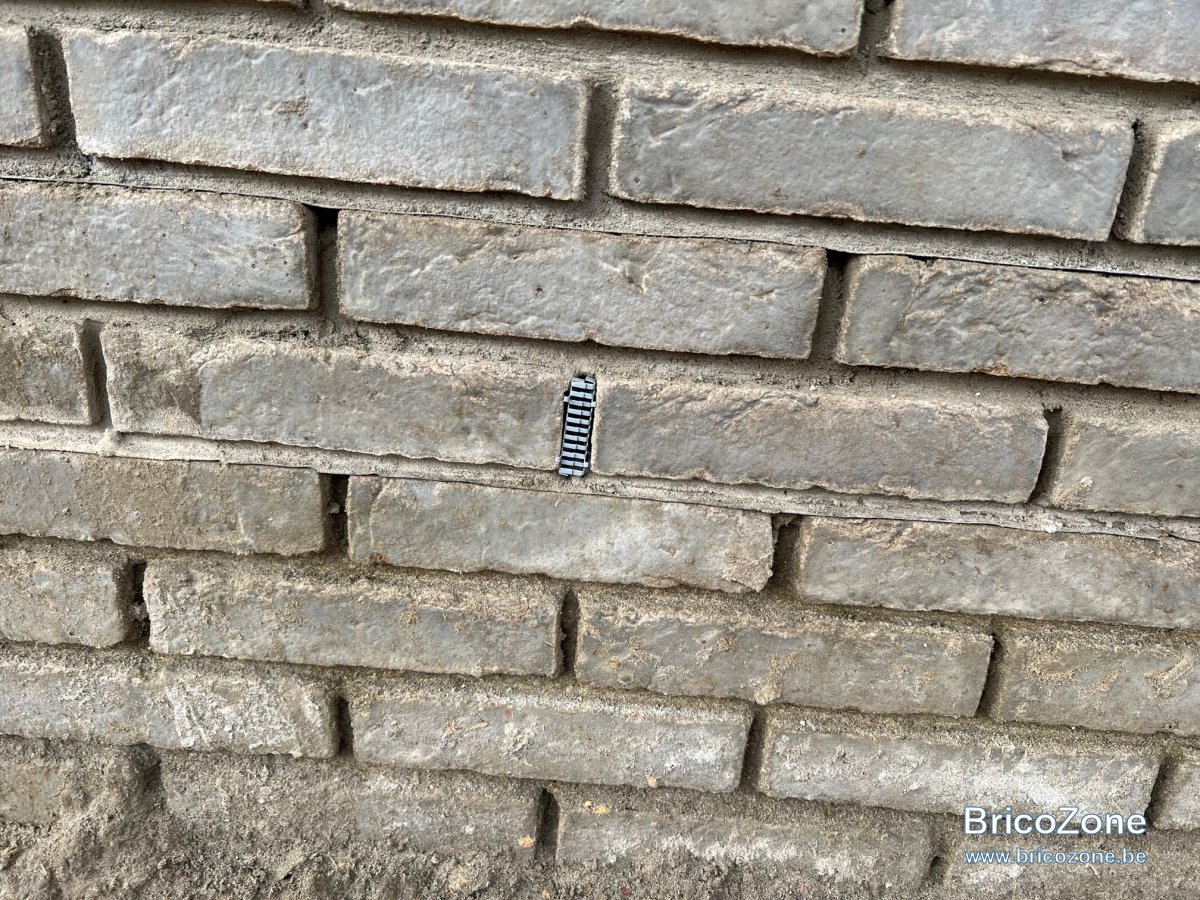 2022-03-16 - Protection_rongeur B.jpg