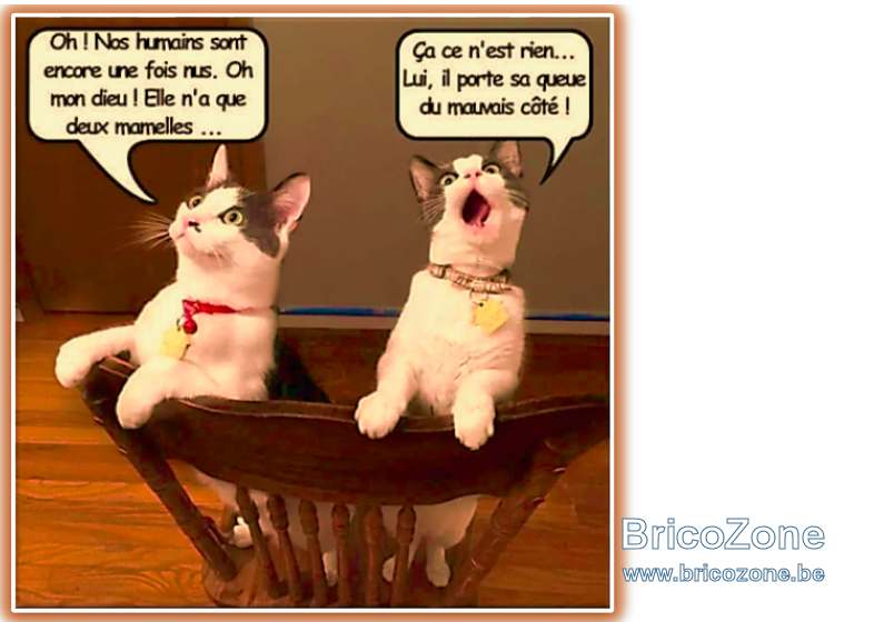 upload_2022-7-15_10-38-48.png