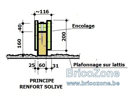 RENFORCEMENT DE SOLIVE ht 200.jpg