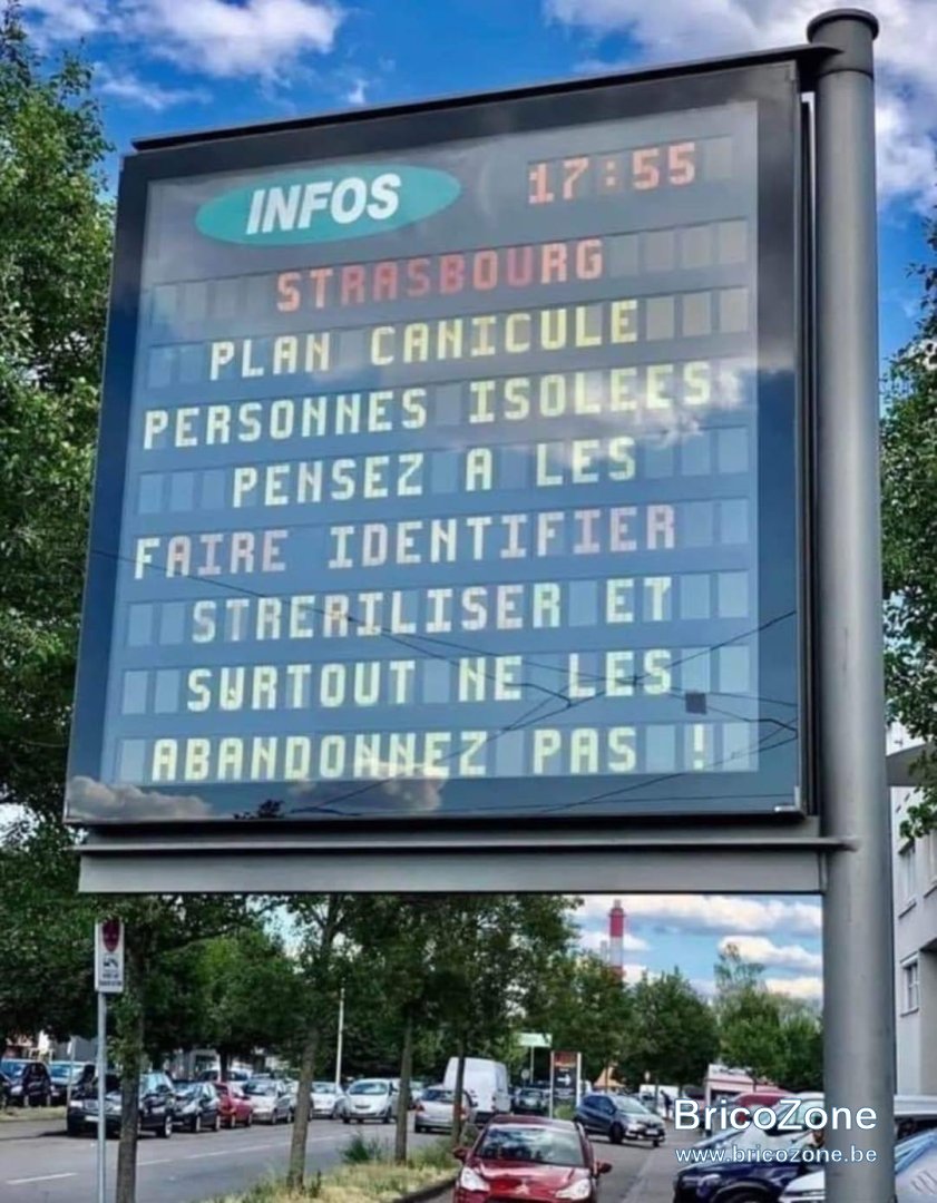AF0501F4-8583-488E-997C-75E3896832B3.jpeg
