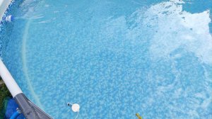 IMG_20220713_183121.jpg