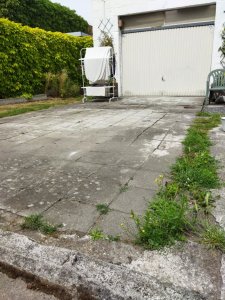 IMG_20220730_141452.jpg