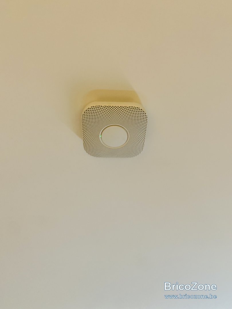 84C367EB-DD65-4157-9C49-39F2F0830692.jpeg