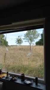 IMG_20220814_111804.jpg